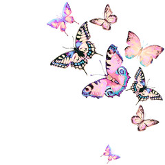 beautiful pink butterfly,watercolor,isolated on a white