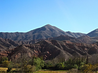 Cerros y cardones