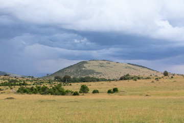 Obraz premium landscape with green field and blue sky