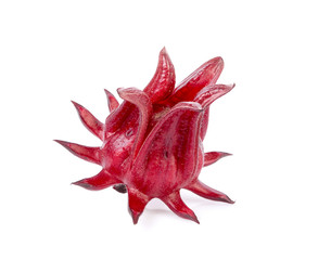 Roselle Hibiscus sabdariffa red fruit flower on white background.