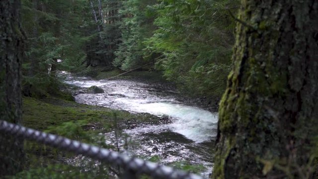 creek in national park, beautiful stream water 
