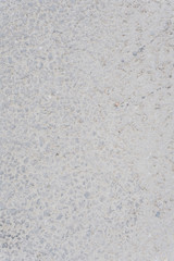 The texture of light asphalt. Stone gray background. Vertical photo