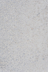 Fototapeta premium The texture of light asphalt. Stone gray background. Vertical photo