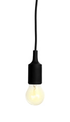 New incandescent light bulb for lamp on white background