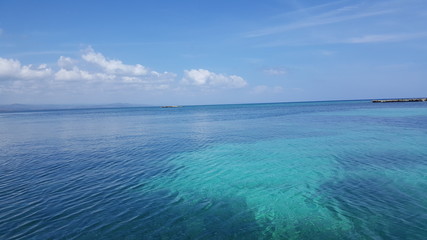 landscape, lakes, nature, trees, fauna, water, sea, fish