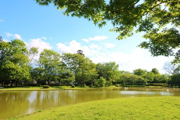 風景　春　空　雲　緑　池　公園　杤木