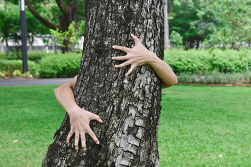 Puzzle hand hugs a tree