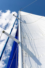 Fototapeta premium Springtime Sailing on the Neuse River