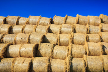 Pile of straw bale. Harvest