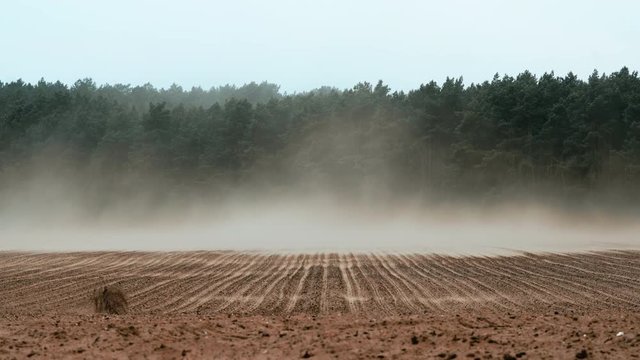 Tumble weed swept over a farmed field by strong winds whirling off the top soil, creating land erosion due to intensive agricultural tillage in northern Germany.