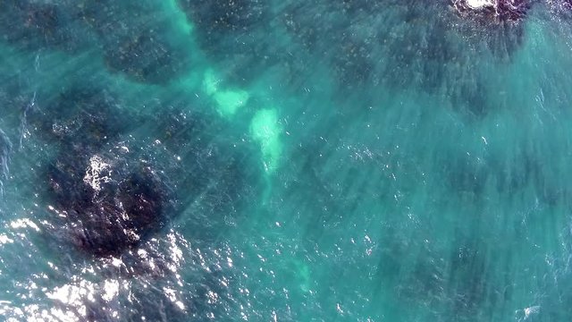 Aerial shot looking directly down on the ocean coast with moving waves over rocks and seaweed. Sunlight also shining through the water