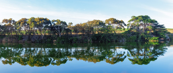 Wide panorama of row of trees reflecting in calm mirror-like river water