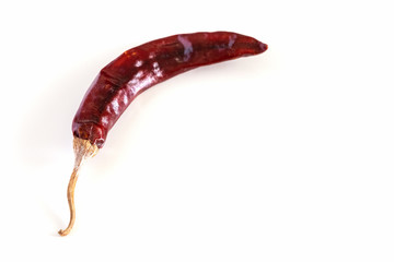 Dry red chilli long Kashmiri pepper isolated on white background. Close up.
