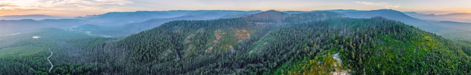 Wide aerial panorama of forested hills and mountains at sunset near Marysville, Victoria, Australia