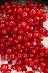red currant berries with sugar macro background.Red currant jam.Summer berry. 