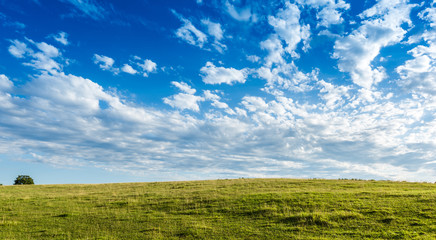 Pretty green Meadow with beautiful blue sky background with copy space