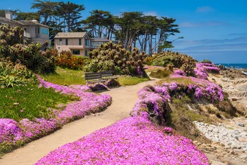 Fotobehang Monterey © Gang