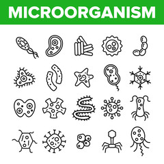 Microorganisms Cells Thin Line Icons Vector Set. Viruses, Bacterias, Unicellular Organisms, Protozoa Linear Illustrations. Cocci And Bacillus. Infectious Agent, Bacteriophage Isolated Outline Drawings