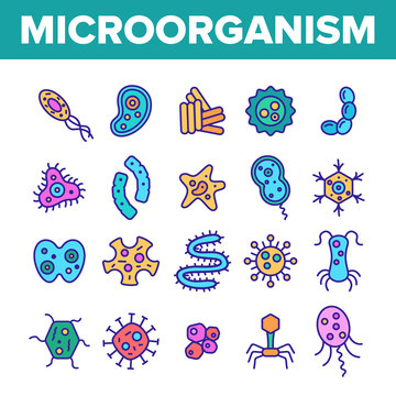 Microorganisms Cells Thin Line Icons Vector Set. Viruses, Bacterias, Unicellular Organisms, Protozoa Linear Illustrations. Cocci And Bacillus. Infectious Agent, Bacteriophage Isolated Outline Drawings