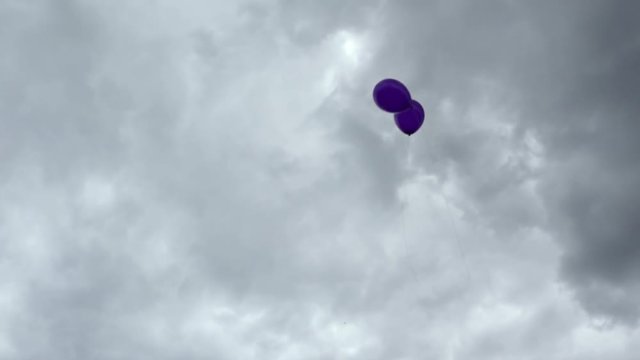 Two purple helium balloons are flying away into the sky. Two hands release balloons.
