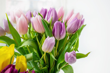 A beautiful bouquet of colorful spring tulips stands on the window. Close-up