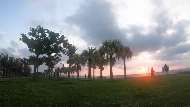 Time Lapse of Palm tree near the beach in Araha Beach Chatan Okinawa Japan