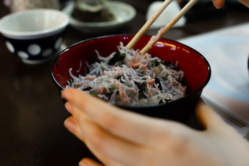 和歌山県加太市の釜しらす丼