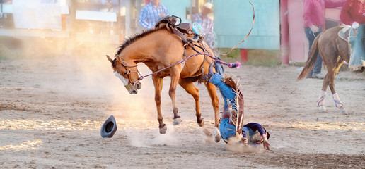 Bucking Horse Riding Rodeo Competition