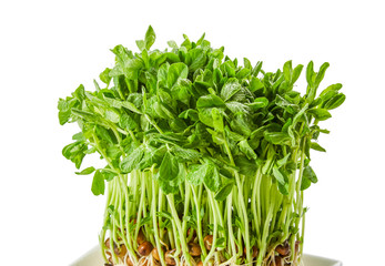 豆苗　pea sprouts