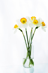 A bouquet of white narcissus flowers stands in a jar of water on a table on a white background.