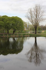 Fototapeta na wymiar water, landscape, lake