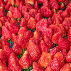 california strawberries in a cage