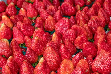 california strawberries in a cage