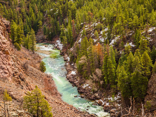 Fototapeta na wymiar The Animas River flows through the San Juan National Forest in Colorado. Difficult to get to, one has to either hike or take a passenger train to get to the interior of this beautiful, untouched wild