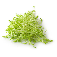 Fresh Snow pea sprouts isolated over a white background.