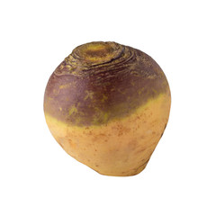 Fresh Turnip Swede isolated over white background.