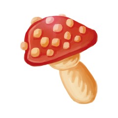 Amanita colorful hand drawn mushroom image. Isolated illustration