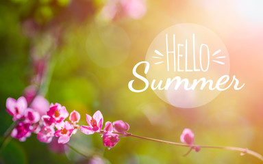 Hello summer background concept. Banner holiday flowers background. Beautiful pink flower on green nature background.