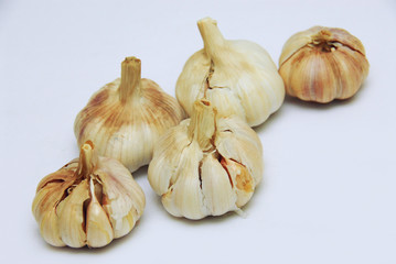 Old, spoiled garlic on a gray background
