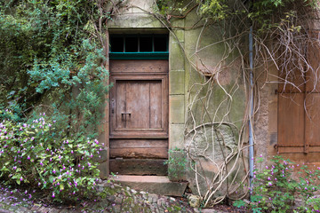 Brown wooden door in an overgrown and decrepit wall in a medieval French village