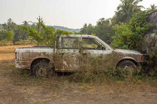  broken abandoned dirty white Indian pickup overgrown with plants green ivy and moss on the background of palm trees