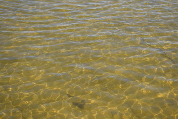 abstract water background