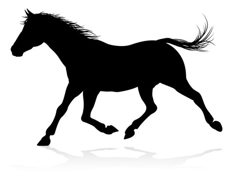 A high quality very detailed horse in silhouette