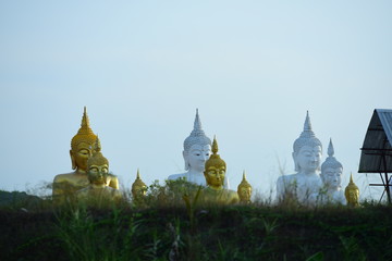temple and buddha statue