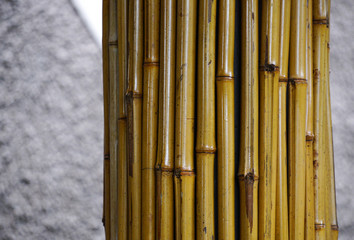 Bamboo for decorations at city park