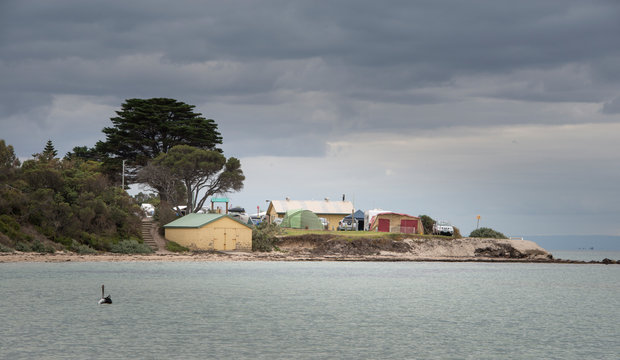 Campsite At Intented Head, Bellarine Peninsula