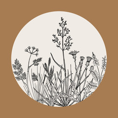 Floral background with hand drawn wild flowers, herbs and grasses