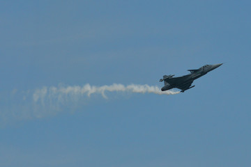 A fighter aircraft flying for display