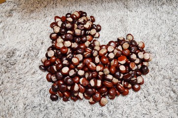Heart made of chestnuts - serce z kasztanów
