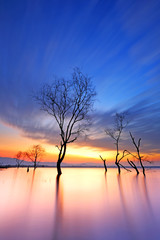 Fototapeta premium Cloud movement with dead trees on the dam at beautiful sunrise